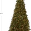 National Tree Company 10 ft Pre-Lit Dunhill Fir Artificial Christmas Tree, 1,200 Clear Lights, 5,090 Tips, Includes Stand, Green