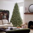 National Tree Company 10 ft Pre-Lit Dunhill Fir Artificial Christmas Tree, 1,200 Clear Lights, 5,090 Tips, Includes Stand, Green