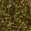 National Tree Company 7.5 ft Pre-Lit Jersey Fraser Fir Artificial Christmas Tree, 1,250 Clear Lights, 3,144 Tips, Includes Stand, Green