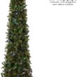 National Tree Company 9 ft Pre-Lit Downswept Douglas Fir Slim Artificial Christmas Tree,500 LED Lights National Tree Company 9 ft Pre-Lit Downswept Douglas Fir Slim Artificial Christmas Tree,500 LED Lights, 1,090 Tips, Foot Pedal, 10 Light Functions, Includes Stand, Green