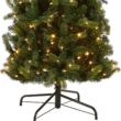 National Tree Company 9 ft Pre-Lit Downswept Douglas Fir Slim Artificial Christmas Tree,500 LED Lights National Tree Company 9 ft Pre-Lit Downswept Douglas Fir Slim Artificial Christmas Tree,500 LED Lights, 1,090 Tips, Foot Pedal, 10 Light Functions, Includes Stand, Green