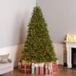 National Tree Company Pre-Lit Artificial Full Christmas Tree, Green, Dunhill Fir, White Lights, Includes Stand, 9 Feet