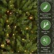 National Tree Company Pre-Lit Artificial Full Christmas Tree, Green, Dunhill Fir, White Lights, Includes Stand, 9 Feet