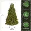 National Tree Company Pre-Lit Artificial Full Christmas Tree, Green, Dunhill Fir, White Lights, Includes Stand, 9 Feet
