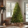 National Tree Company Pre-Lit Artificial Full Christmas Tree, Green, Dunhill Fir, White Lights, Includes Stand, 9 Feet