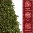 National Tree Company Pre-Lit Artificial Full Christmas Tree, Green, Dunhill Fir, White Lights, Includes Stand, 9 Feet