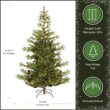 National Tree Company 6.5 ft Pre-Lit Norwegian Spruce Artificial Christmas Tree, 650 Clear Lights, 956 Feel Real Tips, Includes Stand, Green