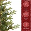National Tree Company 6.5 ft Pre-Lit Norwegian Spruce Artificial Christmas Tree, 650 Clear Lights, 956 Feel Real Tips, Includes Stand, Green