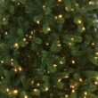 National Tree Company 12 ft Pre-Lit Downswept Douglas Fir Slim Artificial Christmas Tree, 850 LED Lights, 2,165 Tips, Foot Pedal, 10 Light Functions, Includes Stand, Green