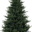Naomi Home 9ft Traditional Christmas Tree with Lights Realistic Classic Christmas Tree Prelit with 6230 Branch Tips 1000 Warm Lights and Metal Stand Aritificial