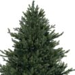 Naomi Home 9ft Traditional Christmas Tree with Lights Realistic Classic Christmas Tree Prelit with 6230 Branch Tips 1000 Warm Lights and Metal Stand Aritificial
