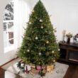 Naomi Home 9ft Traditional Christmas Tree with Lights Realistic Classic Christmas Tree Prelit with 6230 Branch Tips 1000 Warm Lights and Metal Stand Aritificial
