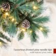 Best Choice Products 12ft Pre-lit Pencil Christmas Tree, Frosted Scotch Pine Slim Holiday Tree Decoration, Skinny Xmas Tree w/White & Multicolor LED Lights, Foldable Stand