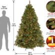 National Tree Company 7.5 ft Pre-Lit Winchester Pine Artificial Christmas Tree, 500 Multicolor Lights, 1,198 Tips, Includes Stand, Green