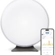 IQAir Atem X Smart Air Purifier for Large Room up to 1650 sq. ft., WiFi App Control, HyperHEPA Filters Wildfire Smoke, Viruses, Bacteria, Allergies, Asthma Triggers, Mold, Made in Germany