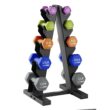 HolaHatha Dumbbell Hand Weights Set and Rack for Home Workout 76 Lbs Multicolor