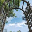 Vita Mezza 2-ft W x 7.3-ft H Arched Gray Cedar Garden Arbor Vita Mezza 2-ft W x 7.3-ft H Arched Gray Cedar Garden Arbor