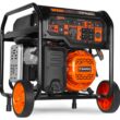 WEN 8000 / 6500 -Watt Dual fuel Portable Generator