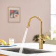 Moen Joric Brushed Gold Single Handle Deck-mount Pull-down Kitchen Faucet with Sprayer (Includes Deck Plate)