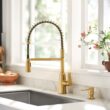 Moen Edwyn Brushed Gold Single Handle Deck-mount Pull-down Kitchen Faucet with Sprayer (Includes Deck Plate) (Includes Soap Dispenser)