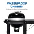 NAPOLEON PRO22 Cart Model 21.5-in W Black/Porcelain Cart Charcoal Grill NAPOLEON PRO22 Cart Model 21.5-in W Black/Porcelain Cart Charcoal Grill