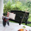 Cambridge Casual Bonn 2 -person Black Mahogany Wood Outdoor Swing