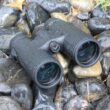 SVBONY Bird Watching Telescope, SV47 Powerful Binoculars 8x32 / 8x42 / 10x42, Professional IPX7 Waterproof, Camping Equipment, Survival