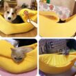 Winter Banana Cat Bed House, Funny Cute Cozy Cat Mat Beds, Warm Durable Portable Pet Basket Kennel, Dog Cushion, Cat Supplies Winter Banana Cat Bed House, Funny Cute Cozy Cat Mat Beds, Warm Durable Portable Pet Basket Kennel, Dog Cushion, Cat Supplies