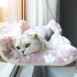 Pet Cat Hammock, Aerial Hanging Cat Bed, Cats Bed House, Kitten Climbing Frame, Sunny Window Seat Nest, Bearing 20kg Pet Cat Hammock, Aerial Hanging Cat Bed, Cats Bed House, Kitten Climbing Frame, Sunny Window Seat Nest, Bearing 20kg