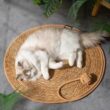 Cat Scratcher Rattan Mat Board, Cat Scratch for Sharpening Nails, Scraper Cats Tree, Cat Scratching Post, Sofa Mats, Furniture Protector