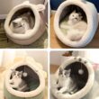 Deep Sleep Cat Bed, Cartoon Pet Bed, Foldable, Removable, Washable Pet Sleeping Bed for Small Dogs, Mat, Bag, Cave Cats Bed