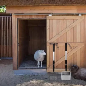 Chicken Coop Rake, Retractable Cat Litter Scoop, Chicken Coop Cleaning Tools, Poop Shovel, Garden Separating Poop & Debris Tools