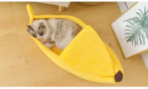 Winter Banana Cat Bed House, Funny Cute Cozy Cat Mat Beds, Warm Durable Portable Pet Basket Kennel, Dog Cushion, Cat Supplies Winter Banana Cat Bed House, Funny Cute Cozy Cat Mat Beds, Warm Durable Portable Pet Basket Kennel, Dog Cushion, Cat Supplies
