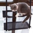 Cat Hammock Window Bed, Kitten Sunny Seat, Hanging Mount Beds, Cat Sofa, Double-Decker Tunnels, Suction Cup Wall Pet Hanging