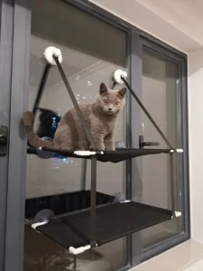 Cat Hammock Window Bed, Kitten Sunny Seat, Hanging Mount Beds, Cat Sofa, Double-Decker Tunnels, Suction Cup Wall Pet Hanging