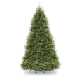 National Tree Company 12 ft Unlit Dunhill Fir Artificial Full Christmas Tree, 7,794 Tips, Includes Stand, Green