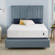 Serta Sheep Dreams 12-in Medium King Memory foam Mattress in a Box