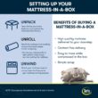 Serta Sheep Dreams 12-in Medium King Memory foam Mattress in a Box