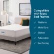 LUCID Comfort Collection SureCool 12-in Medium King Memory foam Mattress in a Box