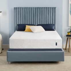 Serta Sheep Dreams 12-in Medium California King Memory foam Mattress in a Box