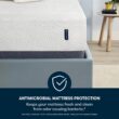 Serta Sheep Dreams 12-in Medium California King Memory foam Mattress in a Box