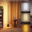 Govee Floor Lamp 2 with Matter, RGBIC, Warm Cool White LED, Alexa Compatible, 1725lm, Music Sync, Scene Modes, Smart Floor Lamp for Living Room, Bedroom, Black(1 Pack)