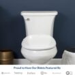 Bio Bidet BB550 Heated Bidet Seat with Warm Water Wash & Air Dryer, Night Light, Low Profile Design, Elongated Bio Bidet BB550 Heated Bidet Seat with Warm Water Wash & Air Dryer, Night Light, Low Profile Design, Elongated