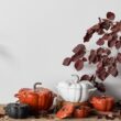 STAUB Cast Iron Dutch Oven 3.5-qt Pumpkin Cocotte with Stainless Steel Knob, Serves 3-4, White STAUB Cast Iron Dutch Oven 3.5-qt Pumpkin Cocotte with Stainless Steel Knob, Made in France, Serves 3-4, White