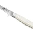 ZWILLING Pro Le Blanc 4-pc Steak Knife Set