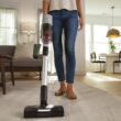 Electrolux WellQ7 Cordless Pet Stick Vacuum Cleaner (Convertible to Handheld)