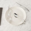 ZWILLING Bellasera 45-pc Flatware Set, 18/10 Stainless Steel ZWILLING Bellasera 45-pc Flatware Set, 18/10 Stainless Steel
