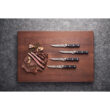 ZWILLING Pro 4-pc Steak Knife Set