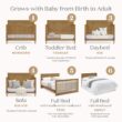 Delta Children Penelope 6-in-1 Convertible Crib - Greenguard Gold Certified, Acorn Delta Children Penelope 6-in-1 Convertible Crib - Greenguard Gold Certified, Acorn