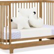 Delta Children Nest 4-in-1 Convertible Crib, Acorn